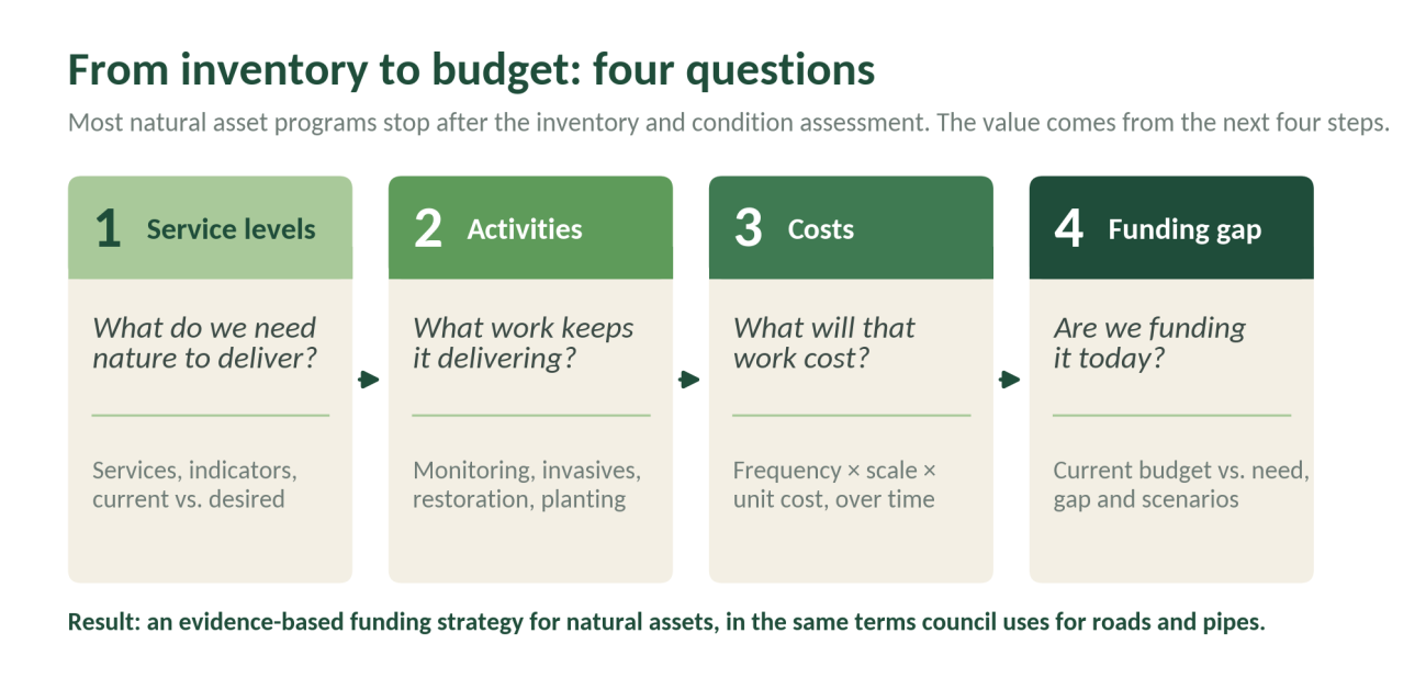 Four steps from inventory to budget: 1 Service levels (what do we need nature to deliver?), 2 Activities (what work keeps it delivering?), 3 Costs (what will that work cost?), 4 Funding gap (are we funding it today?).