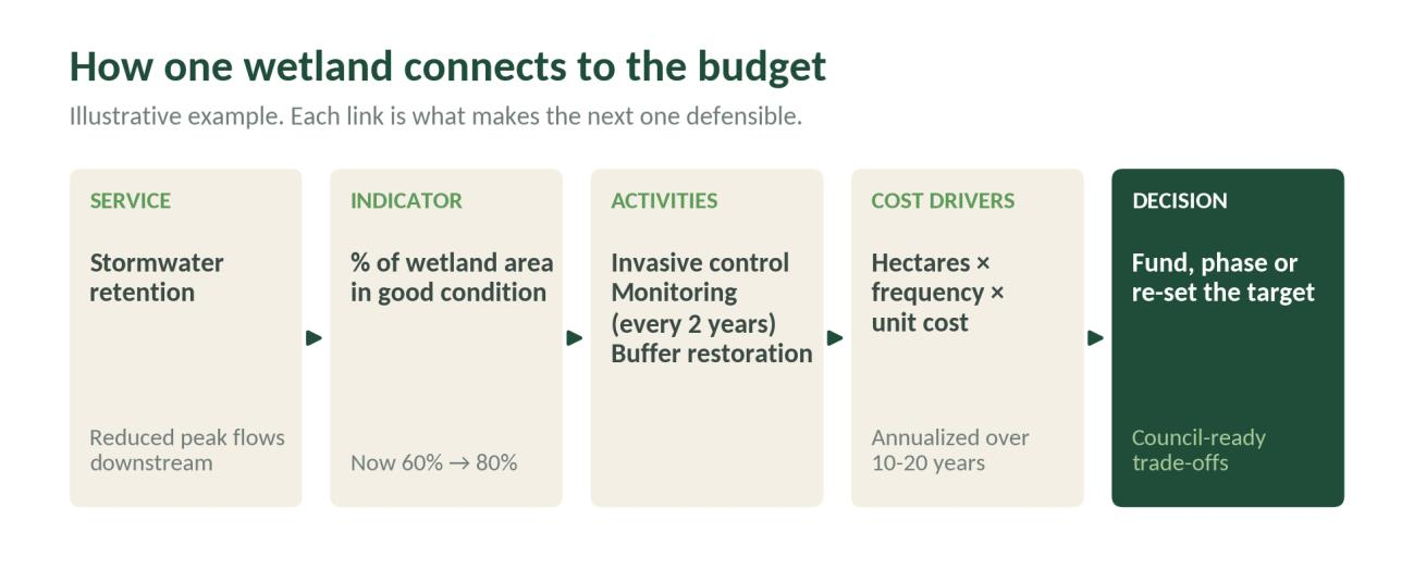 How one wetland connects to the budget: service (stormwater retention), indicator (percent of wetland area in good condition, now 60% to 80%), activities (invasive control, monitoring every 2 years, buffer restoration), cost drivers (hectares × frequency × unit cost, annualized over 10 to 20 years), decision (fund, phase or re-set the target).